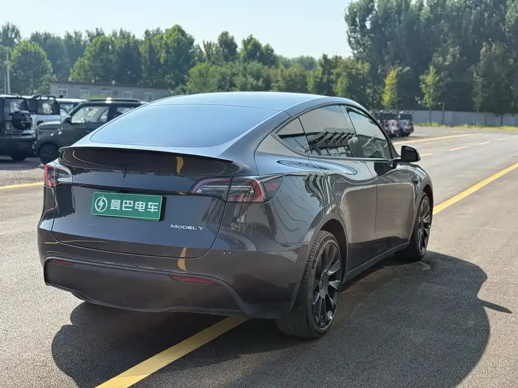 Tesla Model Y — фото 4