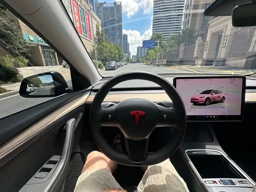 Tesla Model Y — фото 3