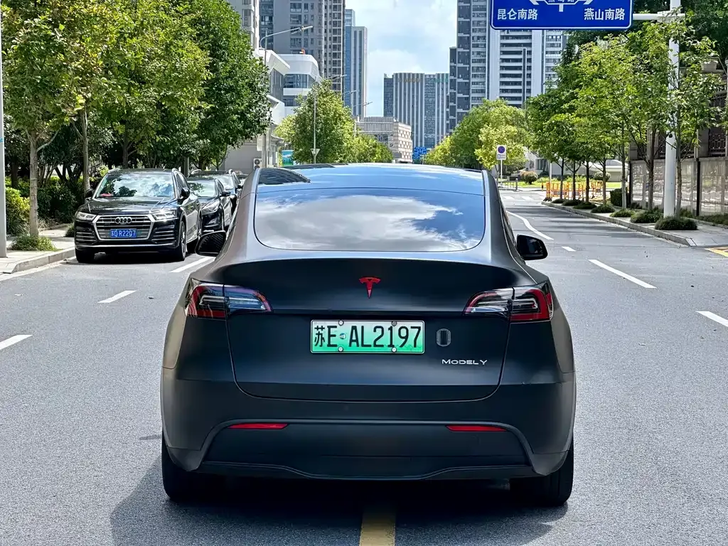 Tesla Model Y — фото 10