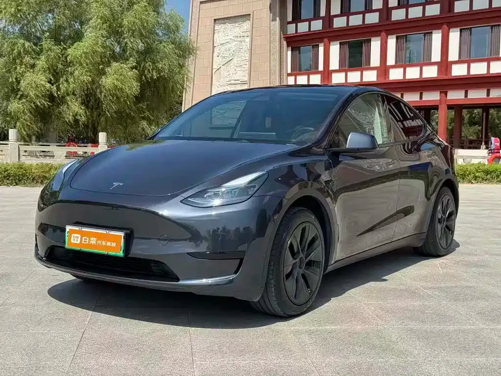 Tesla Model Y — фото 1