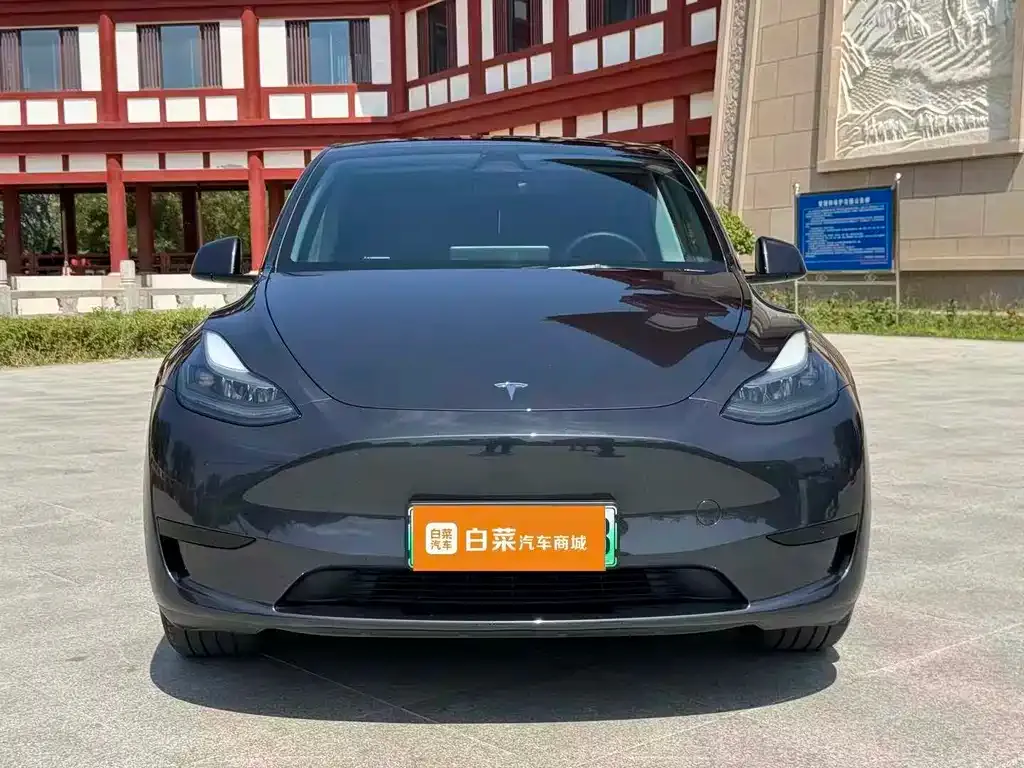Tesla Model Y — фото 9