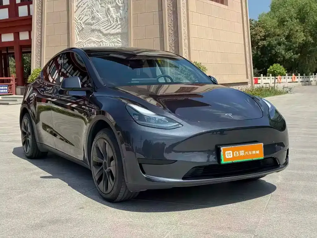 Tesla Model Y — фото 5