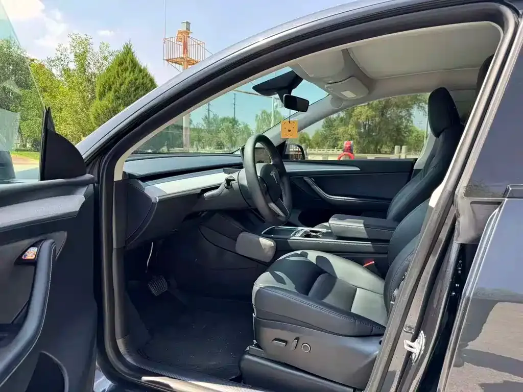 Tesla Model Y — фото 8