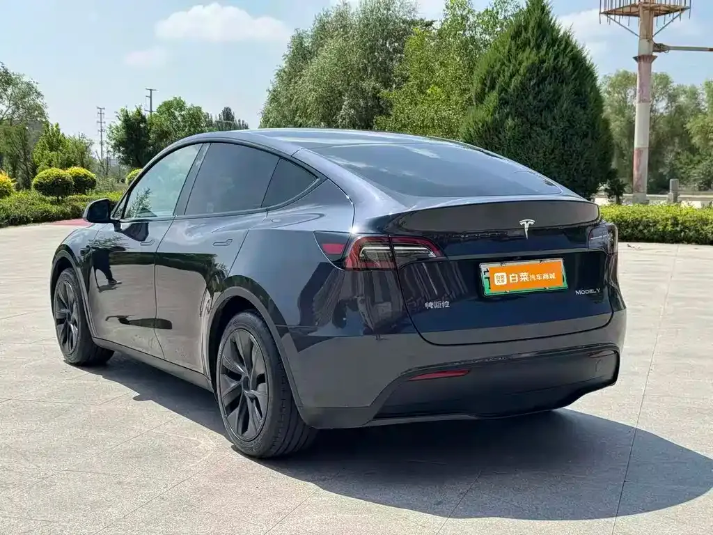 Tesla Model Y — фото 3
