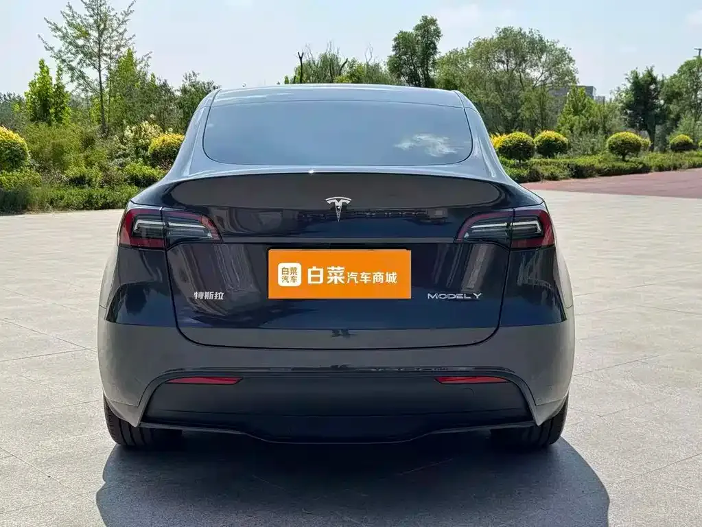 Tesla Model Y — фото 6