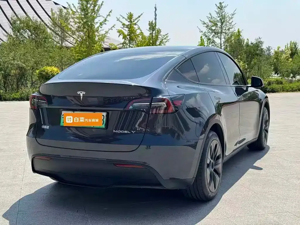 Tesla Model Y — фото 7