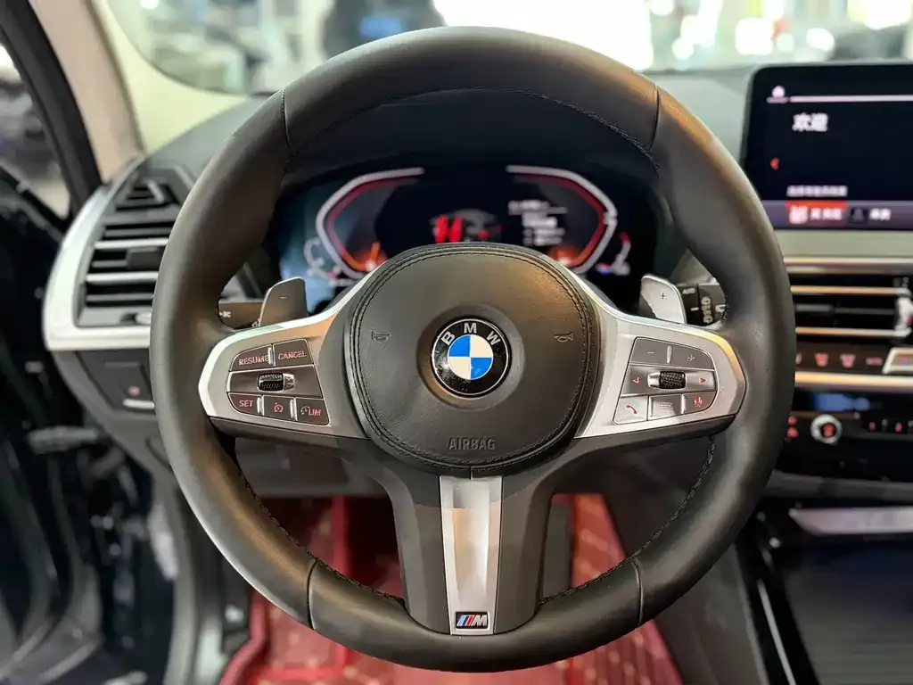 BMW X3 — фото 10