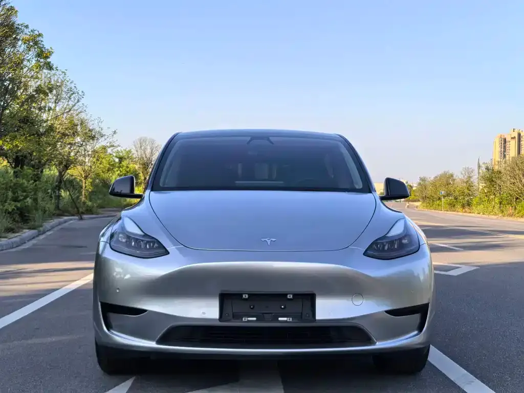 Tesla Model Y — фото 5