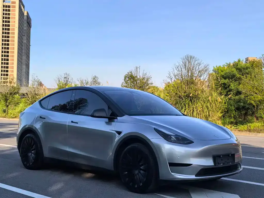 Tesla Model Y — фото 2