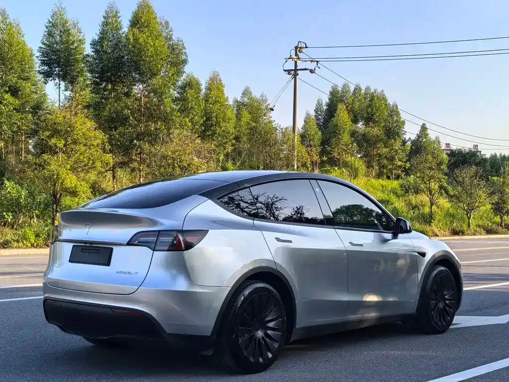 Tesla Model Y — фото 7