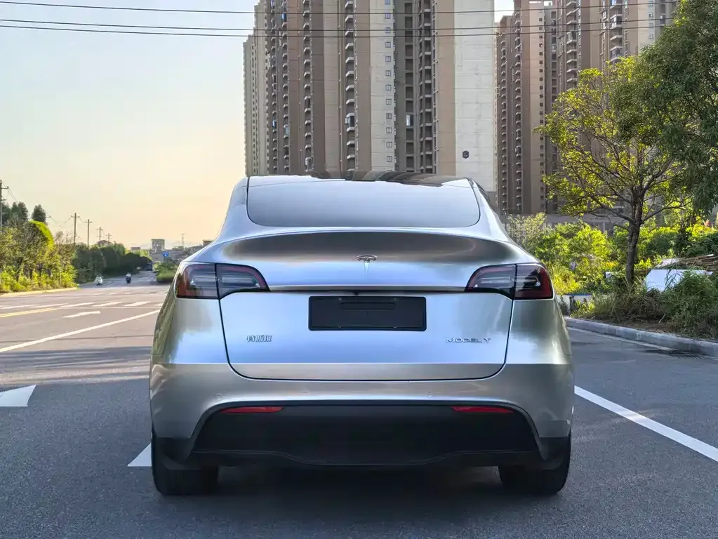 Tesla Model Y — фото 3