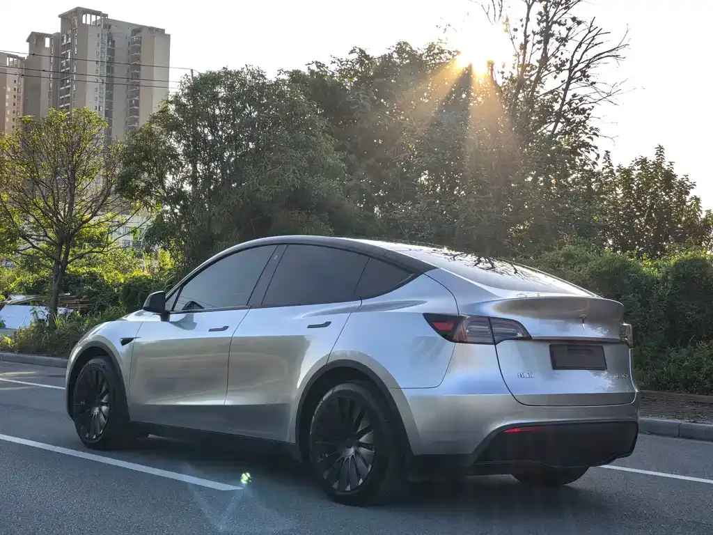 Tesla Model Y — фото 4