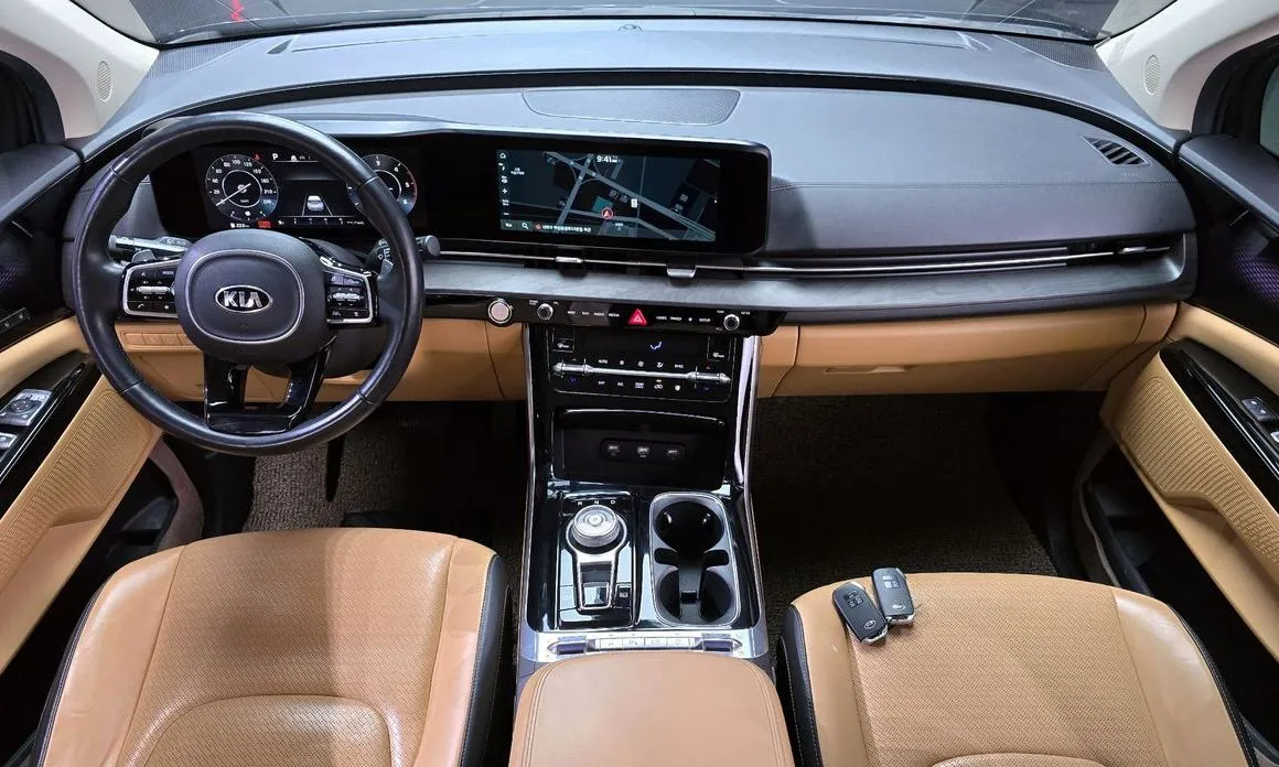 Kia Carnival — фото 10