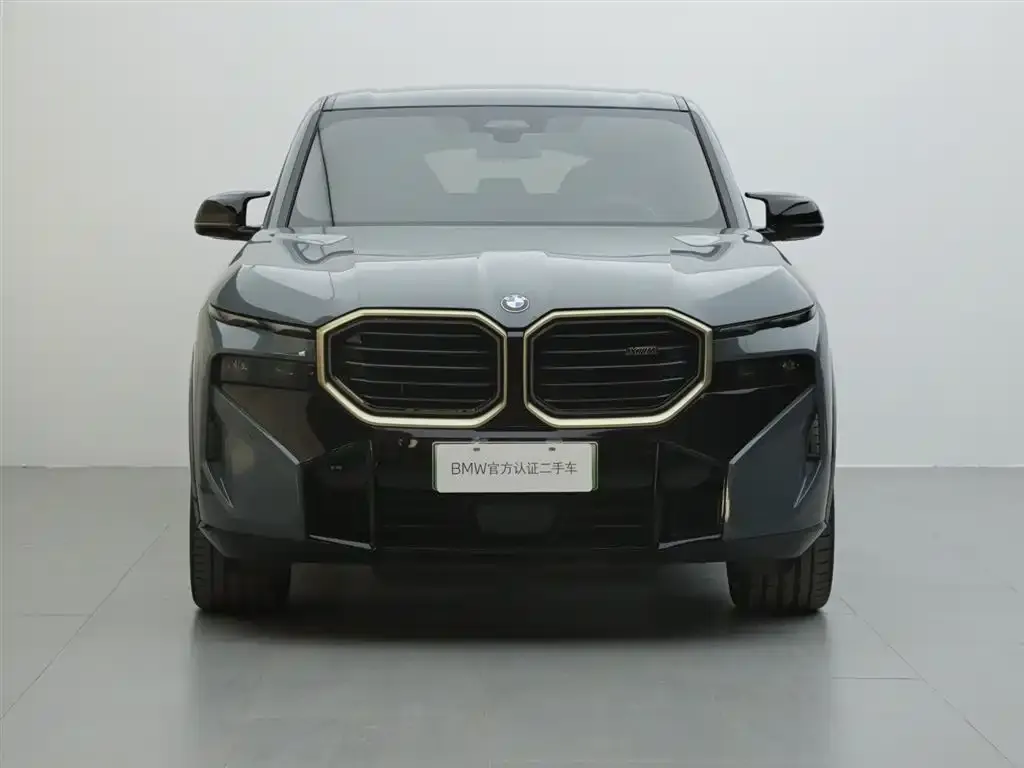 BMW XM — фото 6