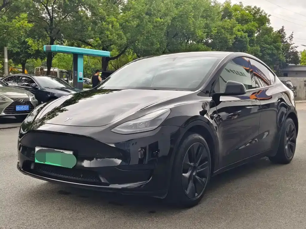 Tesla Model Y — фото 1