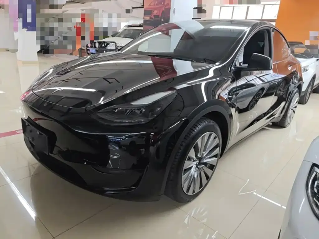 Tesla Model Y — фото 8