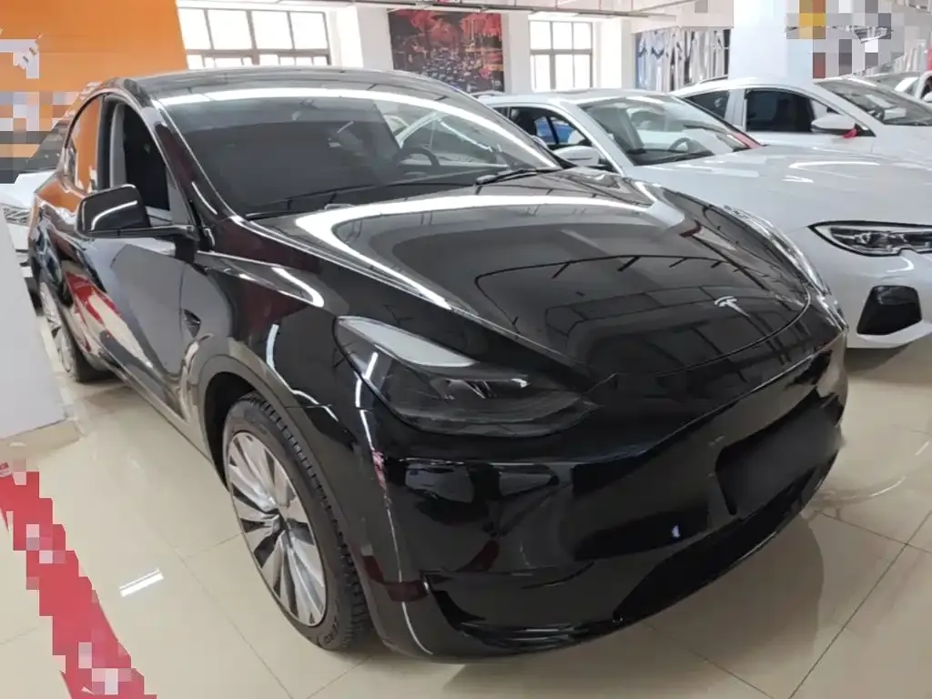 Tesla Model Y — фото 2