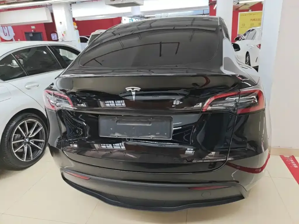 Tesla Model Y — фото 10