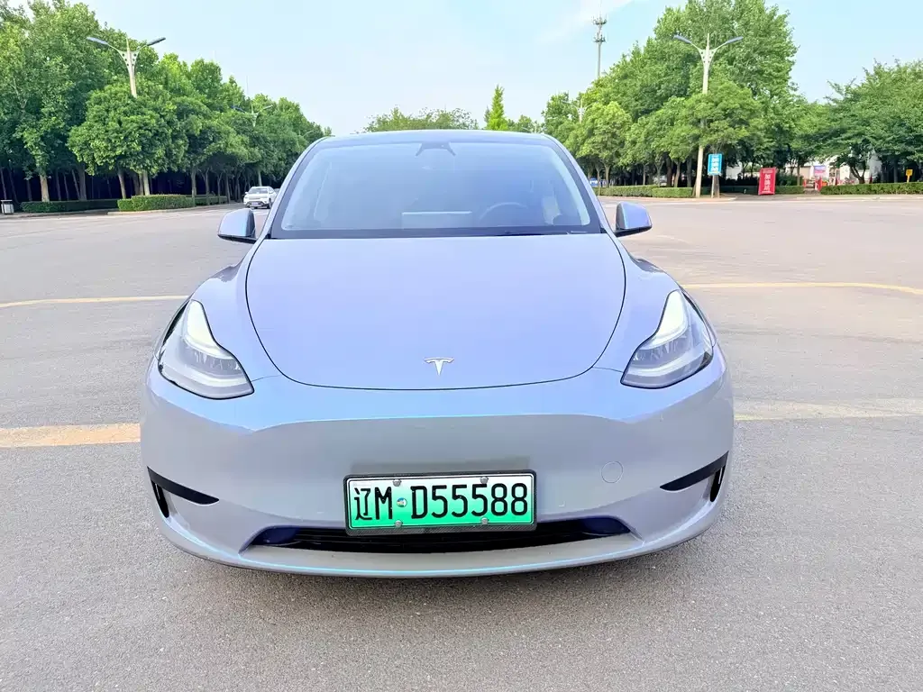 Tesla Model Y — фото 6