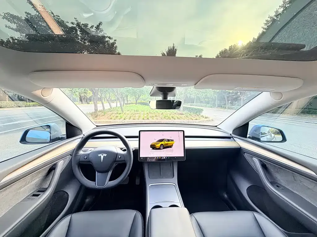 Tesla Model Y — фото 9