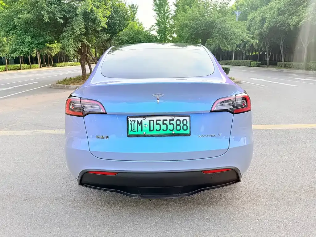 Tesla Model Y — фото 5