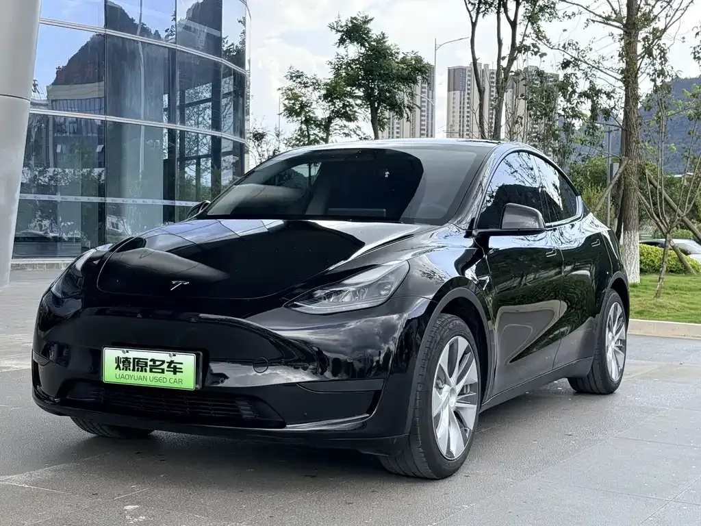 Tesla Model Y — фото 1