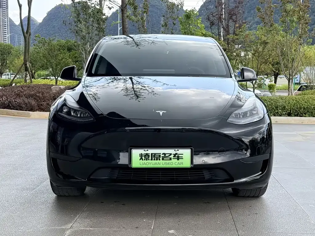 Tesla Model Y — фото 8