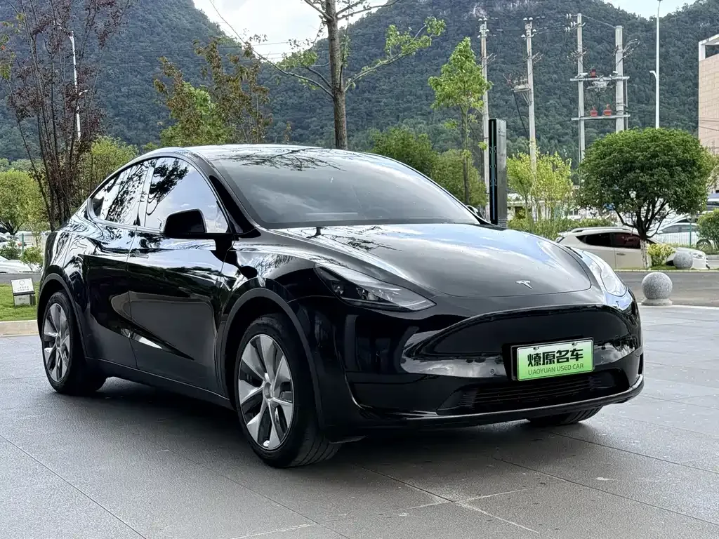 Tesla Model Y — фото 9