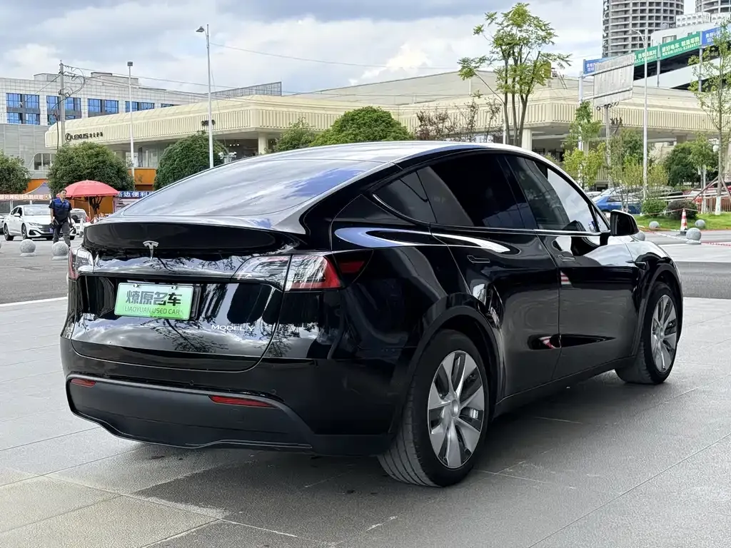 Tesla Model Y — фото 10