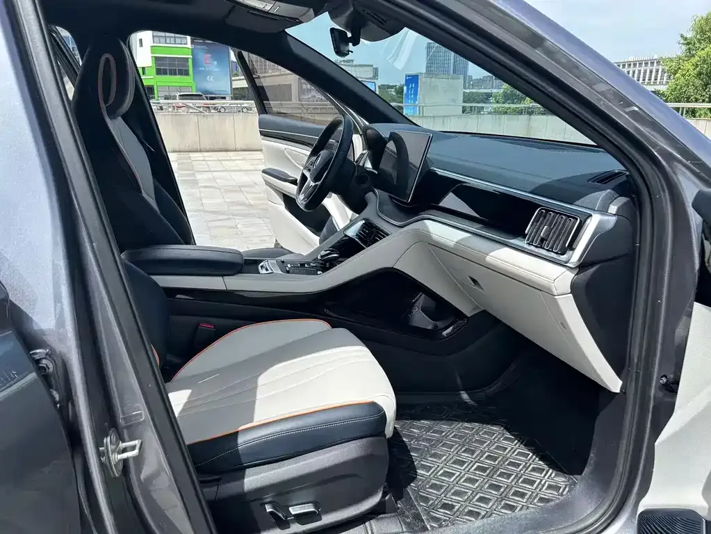 BYD PLUS New Energy — фото 4