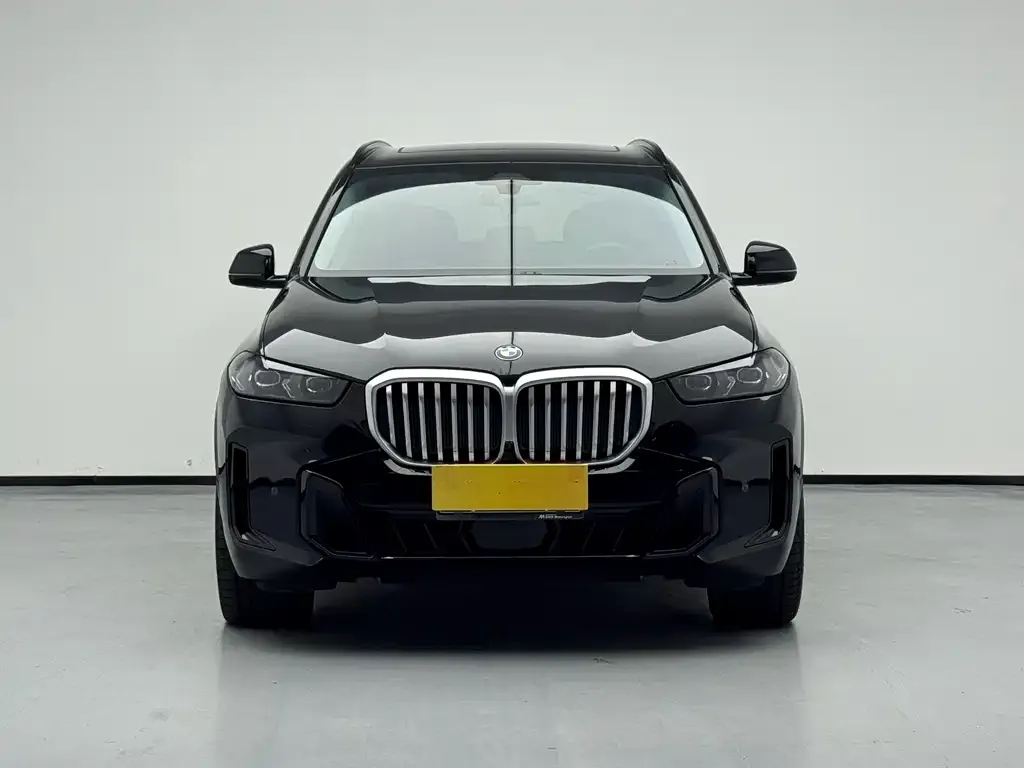 BMW X5 — фото 4