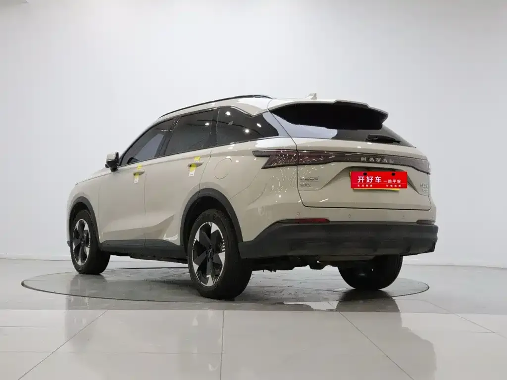 Haval Xiaolong MAX — фото 5