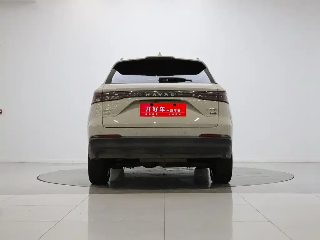 Haval Xiaolong MAX — фото 8