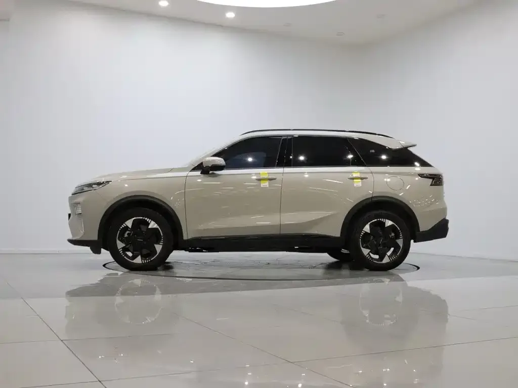 Haval Xiaolong MAX — фото 6
