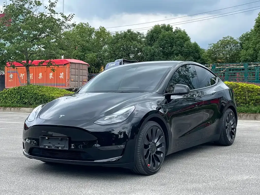 Tesla Model Y — фото 1