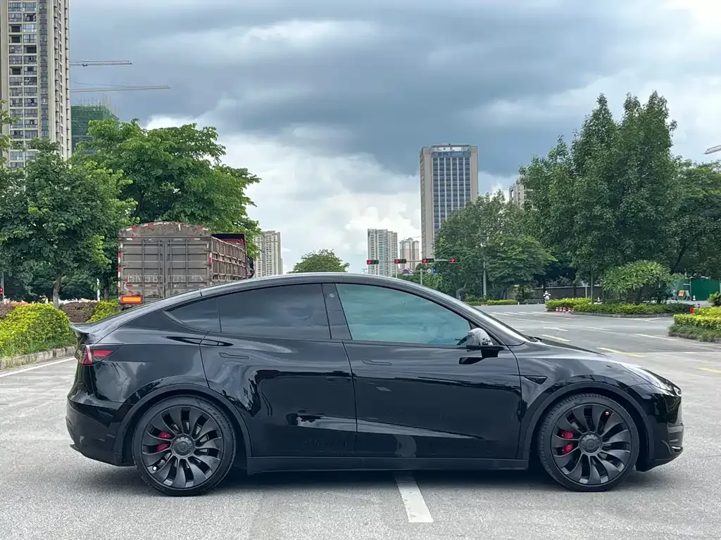 Tesla Model Y — фото 10