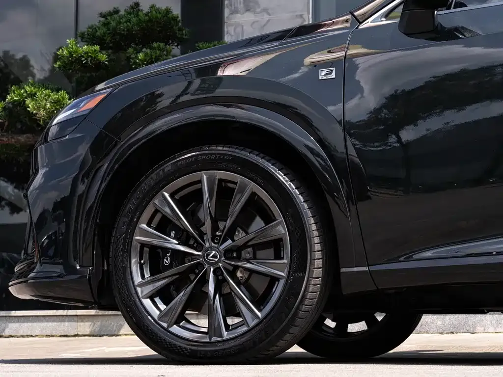 Lexus RX — фото 10