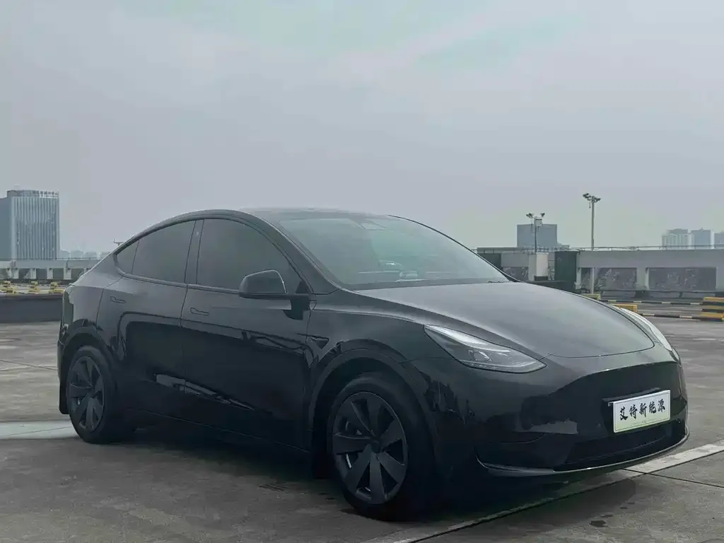 Tesla Model Y — фото 2