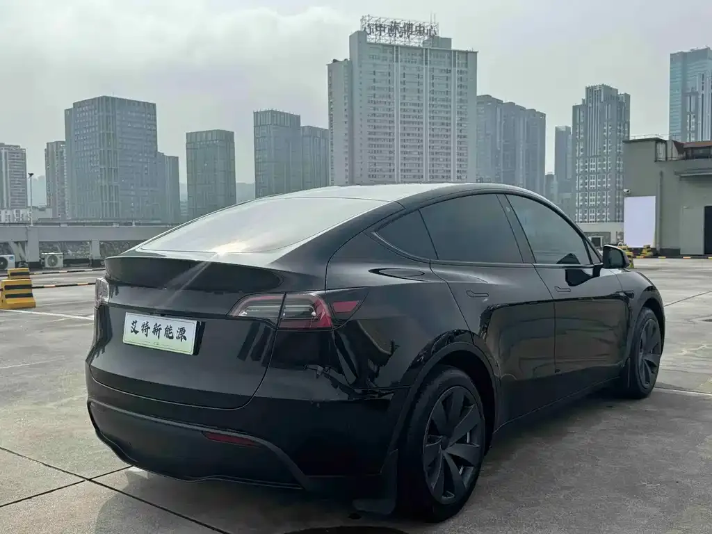 Tesla Model Y — фото 10