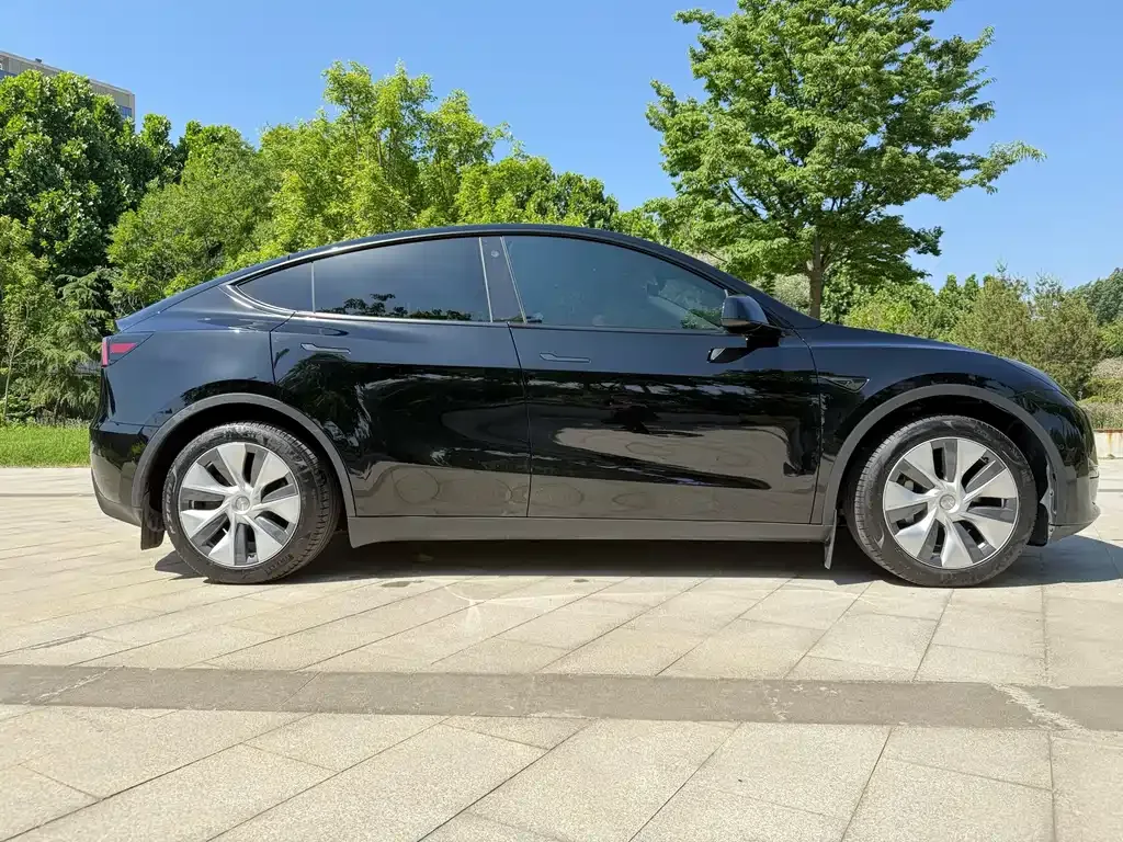 Tesla Model Y — фото 8