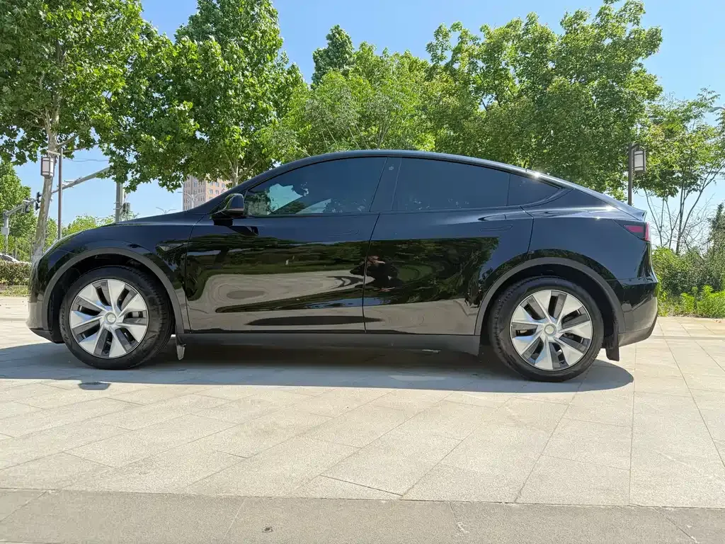 Tesla Model Y — фото 10