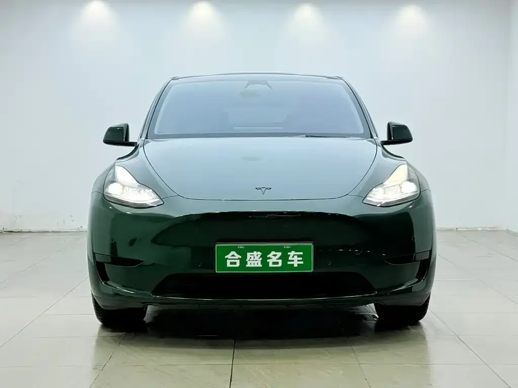 Tesla Model Y — фото 8