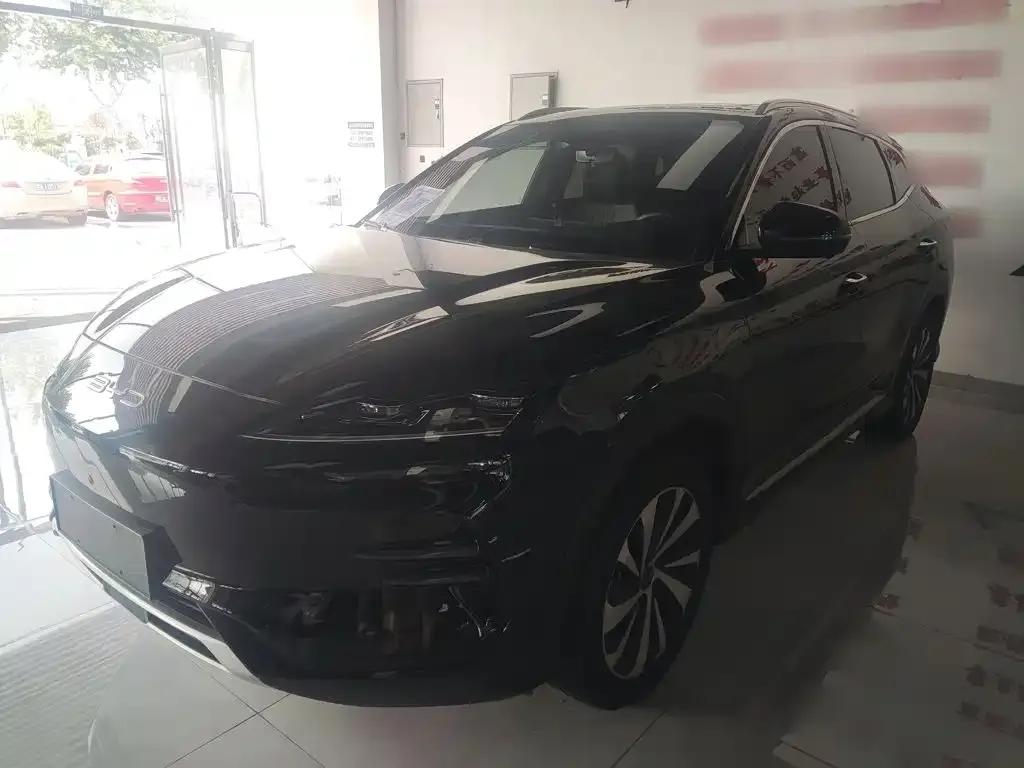 BYD PLUS New Energy — фото 1
