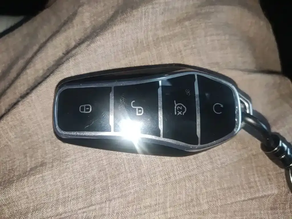 BYD PLUS New Energy — фото 10