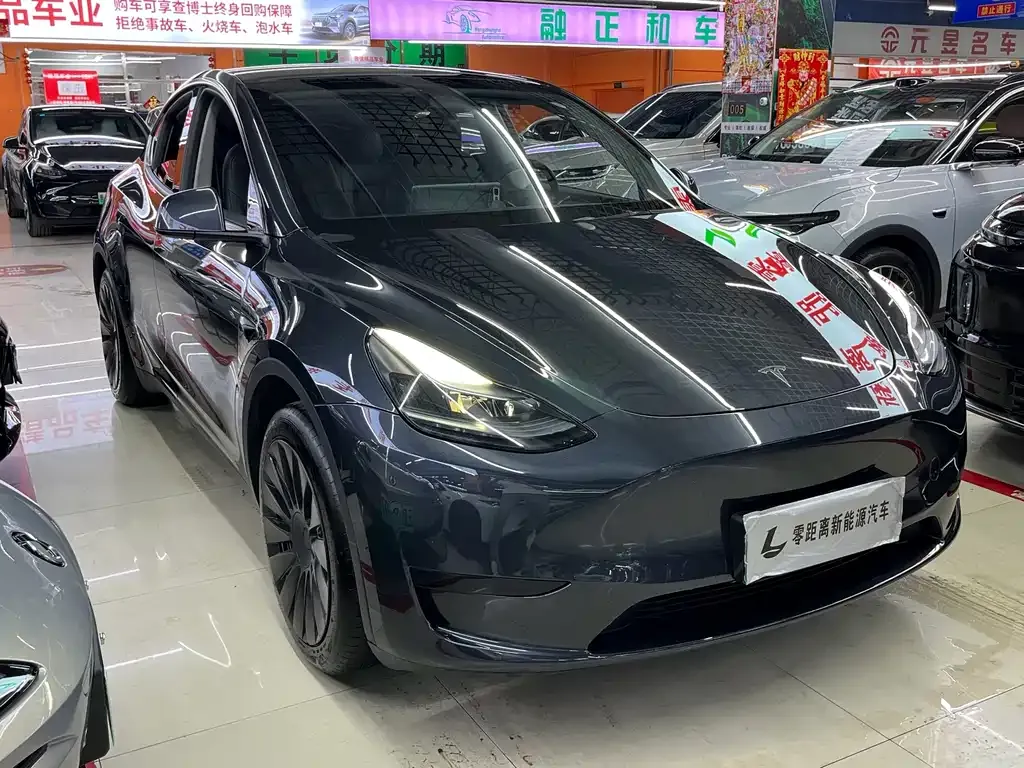 Tesla Model Y — фото 10