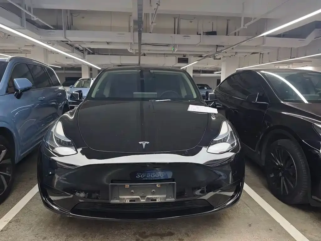 Tesla Model Y — фото 1