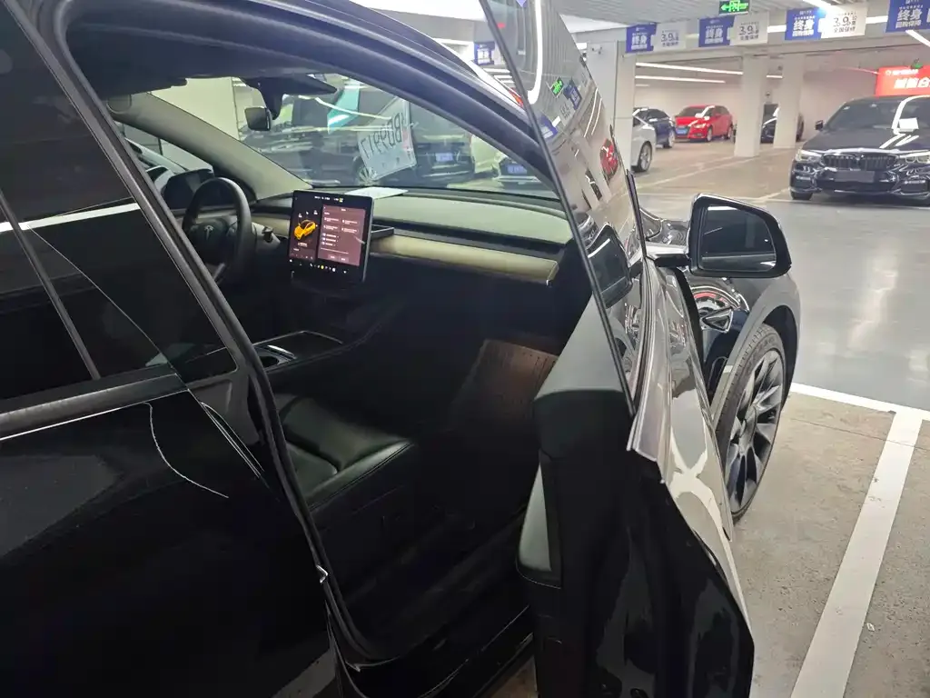Tesla Model Y — фото 9
