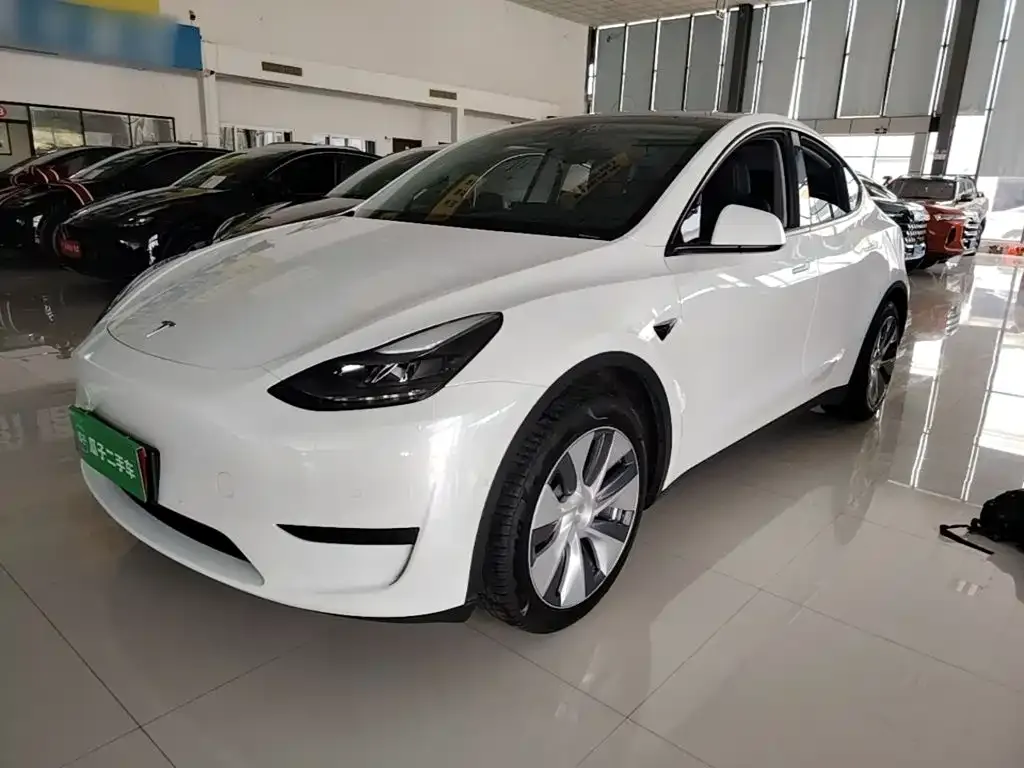 Tesla Model Y — фото 4