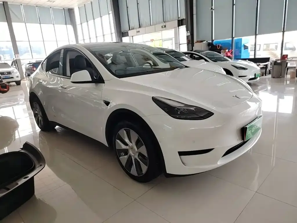 Tesla Model Y — фото 3