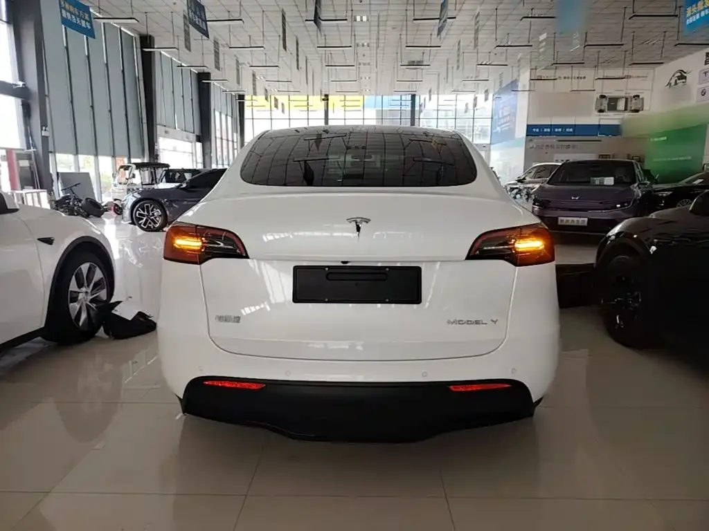 Tesla Model Y — фото 10